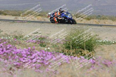 media/Feb-04-2023-SoCal Trackdays (Sat) [[8a776bf2c3]]/Turn 15 Inside Blooming (1050am)/